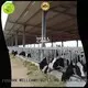 light steel structure steel shed shed WELLCAMP, WELLCAMP prefab house, WELLCAMP container house Brand 1