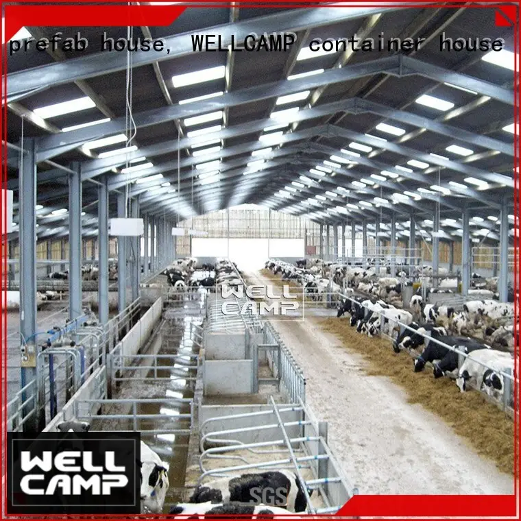 latest steel shed buildings maker for cow shed WELLCAMP, WELLCAMP prefab house, WELLCAMP container house 1