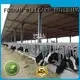 light steel steel shed maker wholesale 1