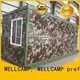 portable foldable mobile homes online for worker WELLCAMP, WELLCAMP prefab house, WELLCAMP container house 1