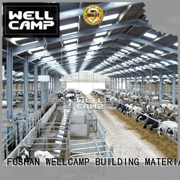 steel shed buildings maker for cow shed WELLCAMP, WELLCAMP prefab house, WELLCAMP container house 1