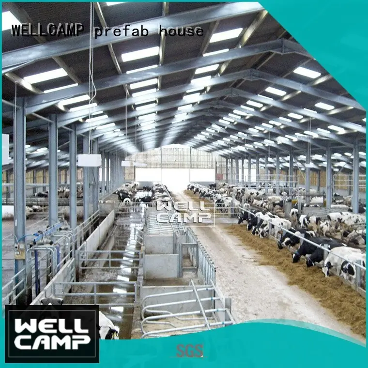 color steel sheds for sale supplier wholesale 1