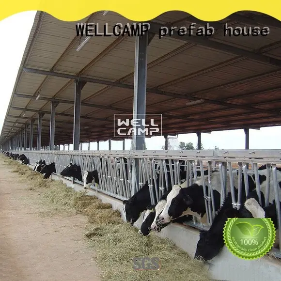 WELLCAMP, WELLCAMP prefab house, WELLCAMP container house color steel shed manufacturer wholesale 1