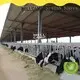 WELLCAMP, WELLCAMP prefab house, WELLCAMP container house color steel shed manufacturer wholesale 1