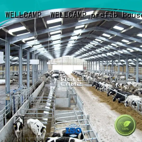 WELLCAMP, WELLCAMP prefab house, WELLCAMP container house light steel steel sheds supplier wholesale 1