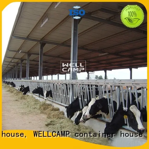 WELLCAMP, WELLCAMP prefab house, WELLCAMP container house steel sheds maker online 1