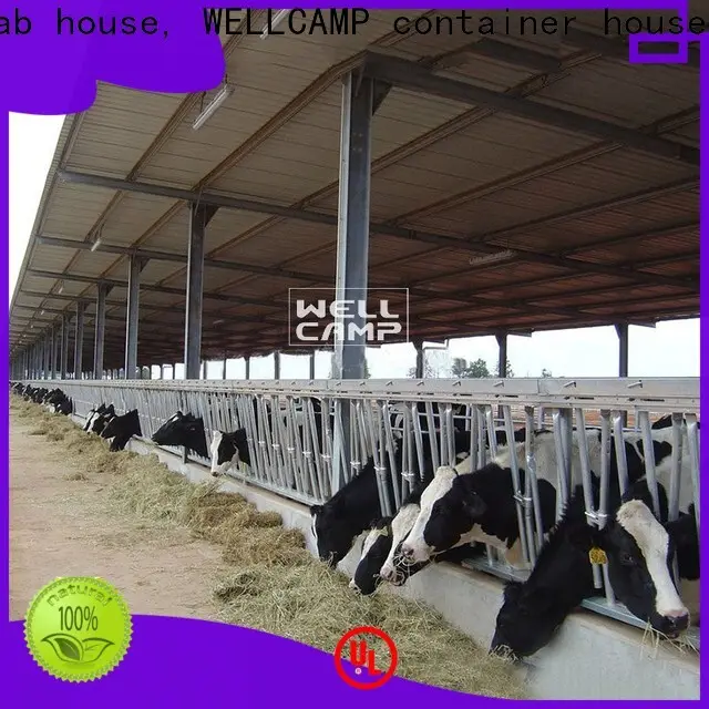 WELLCAMP, WELLCAMP prefab house, WELLCAMP container house steel sheds for sale fast install wholesale 1