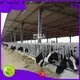 WELLCAMP, WELLCAMP prefab house, WELLCAMP container house steel sheds for sale fast install wholesale 1