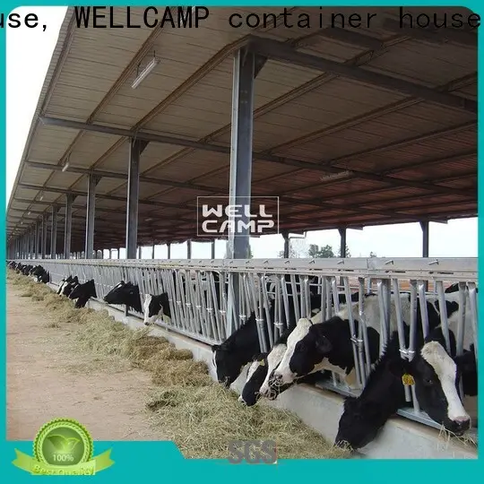 color steel sheds for sale maker online 1