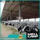 panel steel sheds supplier wholesale 1