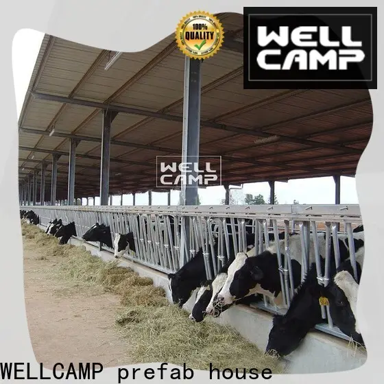 WELLCAMP, WELLCAMP prefab house, WELLCAMP container house light steel steel shed fast install wholesale 1