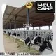WELLCAMP, WELLCAMP prefab house, WELLCAMP container house light steel steel shed fast install wholesale 1