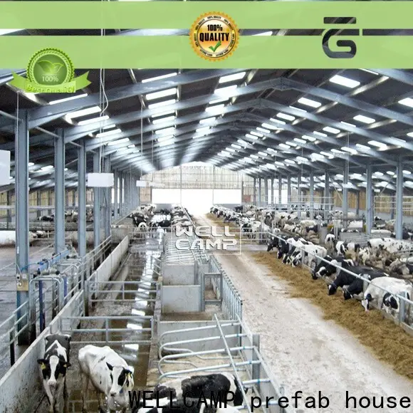 WELLCAMP, WELLCAMP prefab house, WELLCAMP container house steel structure manufacturer wholesale 1