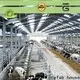 WELLCAMP, WELLCAMP prefab house, WELLCAMP container house steel structure manufacturer wholesale 1
