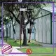 affordable prefabricated house companies wholesale for accommodation worker 1