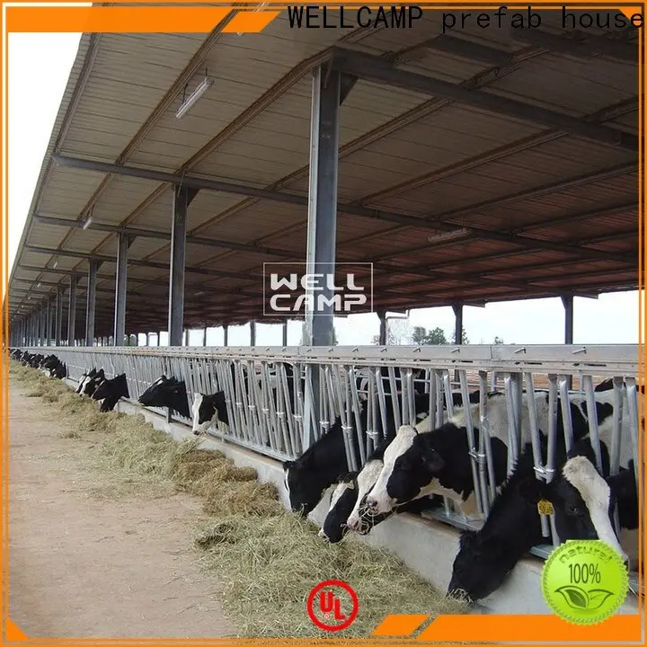 WELLCAMP, WELLCAMP prefab house, WELLCAMP container house sandwich steel shed fast install wholesale 1