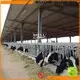 WELLCAMP, WELLCAMP prefab house, WELLCAMP container house sandwich steel shed fast install wholesale 1