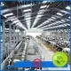 color steel shed maker for cow shed 1