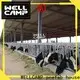 WELLCAMP, WELLCAMP prefab house, WELLCAMP container house panel steel shed fast install for cow shed 1