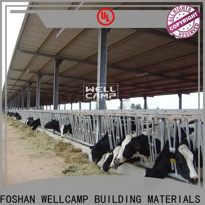 WELLCAMP, WELLCAMP prefab house, WELLCAMP container house steel shed manufacturer for cow shed 1