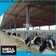 WELLCAMP, WELLCAMP prefab house, WELLCAMP container house color steel structure supplier for cow shed 1