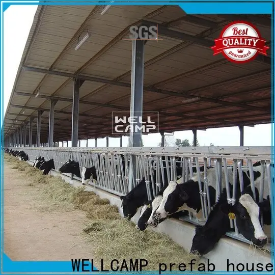 WELLCAMP, WELLCAMP prefab house, WELLCAMP container house steel sheds supplier for cow shed 1