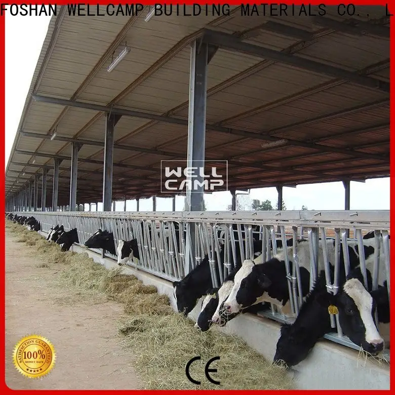 WELLCAMP, WELLCAMP prefab house, WELLCAMP container house light steel steel sheds for sale maker online 1