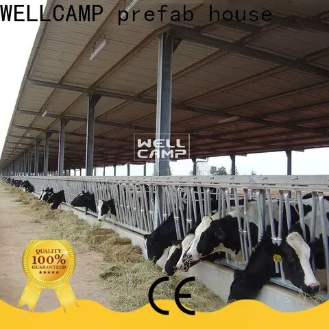 WELLCAMP, WELLCAMP prefab house, WELLCAMP container house panel steel structure fast install for cow shed 1