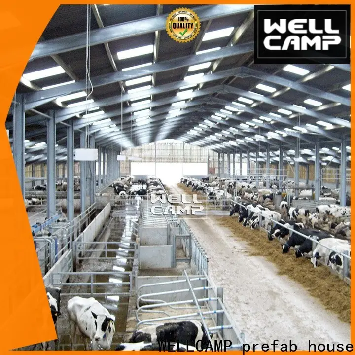 WELLCAMP, WELLCAMP prefab house, WELLCAMP container house color steel sheds fast install wholesale 1
