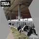 WELLCAMP, WELLCAMP prefab house, WELLCAMP container house panel steel structure maker for cow shed 1