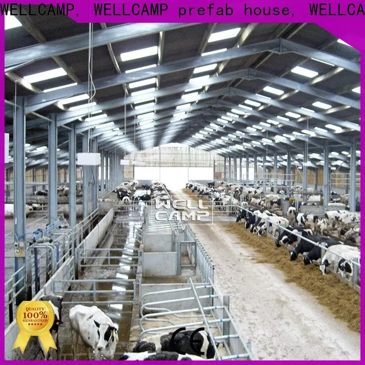 light steel steel shed supplier wholesale 1