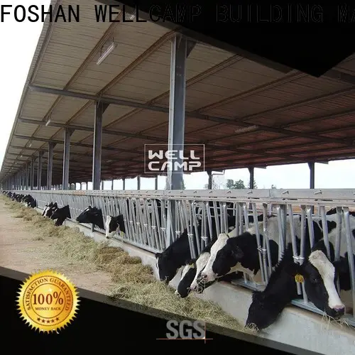 WELLCAMP, WELLCAMP prefab house, WELLCAMP container house steel sheds fast install wholesale 1