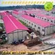 economic steel workshop manufacturer for chicken shed 1
