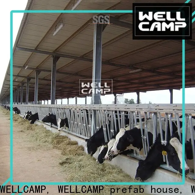 WELLCAMP, WELLCAMP prefab house, WELLCAMP container house steel sheds for sale fast install wholesale1 1