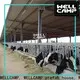 WELLCAMP, WELLCAMP prefab house, WELLCAMP container house steel sheds for sale fast install wholesale1 1