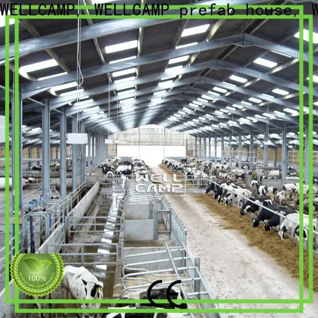 WELLCAMP, WELLCAMP prefab house, WELLCAMP container house light steel steel sheds for sale manufacturer wholesale 1