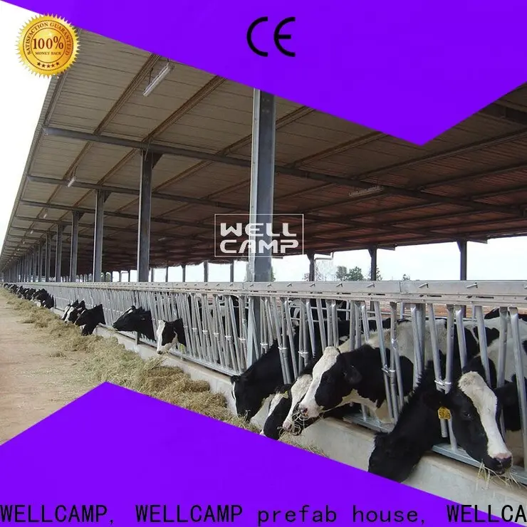 light steel steel sheds for sale manufacturer for cow shed 1