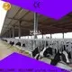 light steel steel sheds for sale manufacturer for cow shed 1