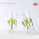 Dof Glassware GXW703 GXV320 GXV024 GXV001 GXV003 GXD301 Wholesale - Xinguo 1