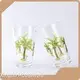 Old Fashioned Glasses Set Custom-make by Xinguo 1