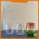 Plastic Tableware Manufacturer Acrylic(Mainly MS/AS，or Acrylic/PC/Tritan) Wholesale - Xinguo 1