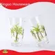 Personalized Double Old Fashioned Glasses GXW703 GXV320 GXV024 GXV001 GXV003 GXD301 - - Xinguo 1