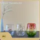 Wholesale Drinking Glasses GXBN001 GXBN102 GXBN108 by Xinguo 1
