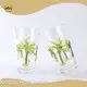 Personalized Double Old Fashioned Glasses Custom-make - - Xinguo 1