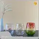 Wholesale Drinking Glasses Acrylic(Mainly MS/AS，or Acrylic/PC/Tritan) by Xinguo-1 1