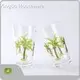 Double Old Fashioned Glassware Acrylic(Mainly MS/AS/PS，or Acrylic/PC/Tritan) by Xinguo 1