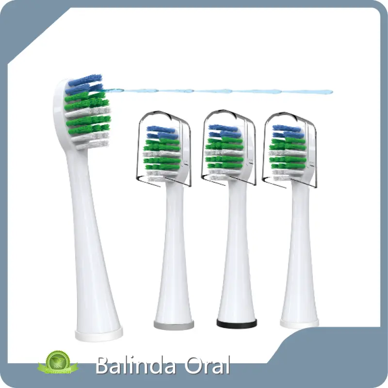 Waterpik Manufacturer by Balinda Oral 1