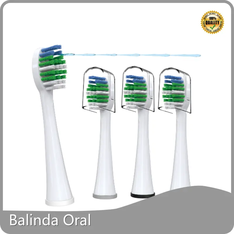 Waterpik Water Flosser Toothbrush Heads Factory 1