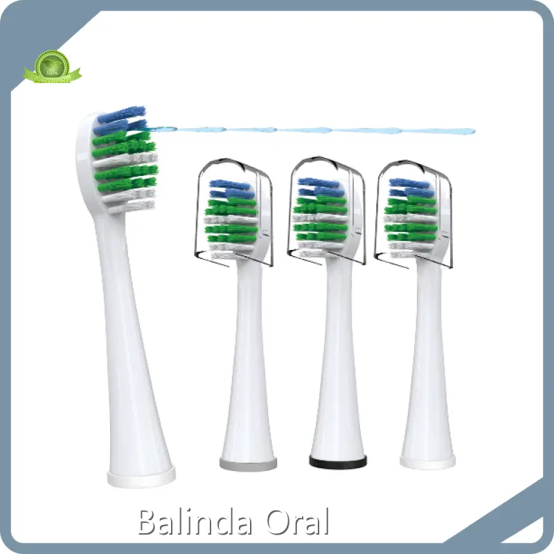 Wholesale Waterpik Replacement Heads Waterpik Replacement Heads Company 1