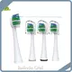 Wholesale Waterpik Replacement Heads Waterpik Replacement Heads Company 1